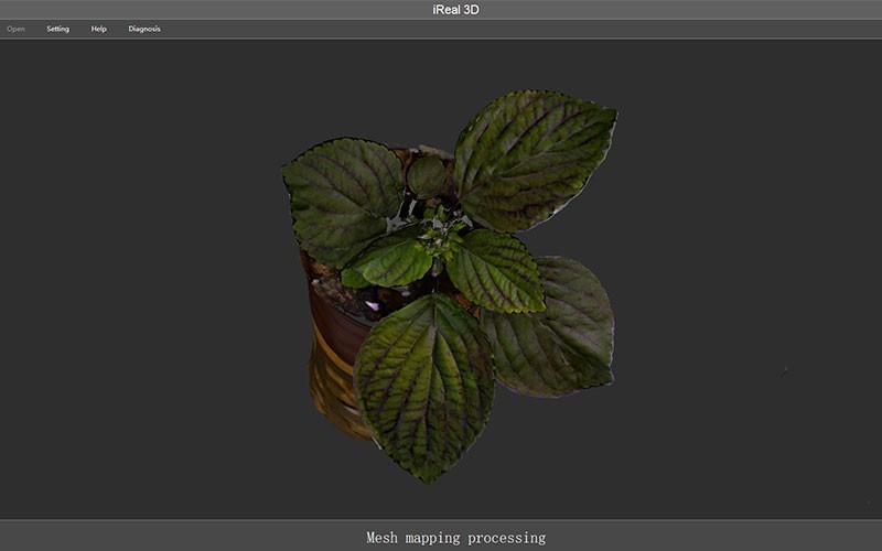 植物3D扫描 | 植物生长形态及表型分析