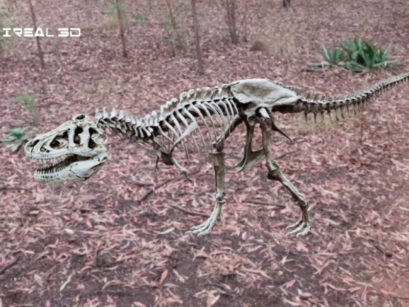 小熊猫智能贴图 | 文物级真彩色三维模型制作 – 恐龙头骨化石